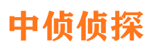 江汉市侦探公司